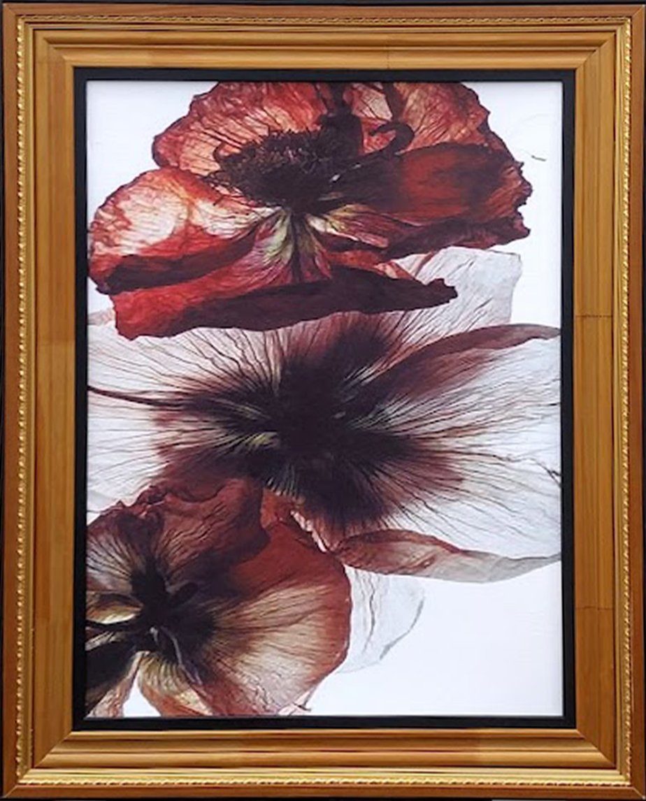 MODERN FLOWERS - Imagem 3